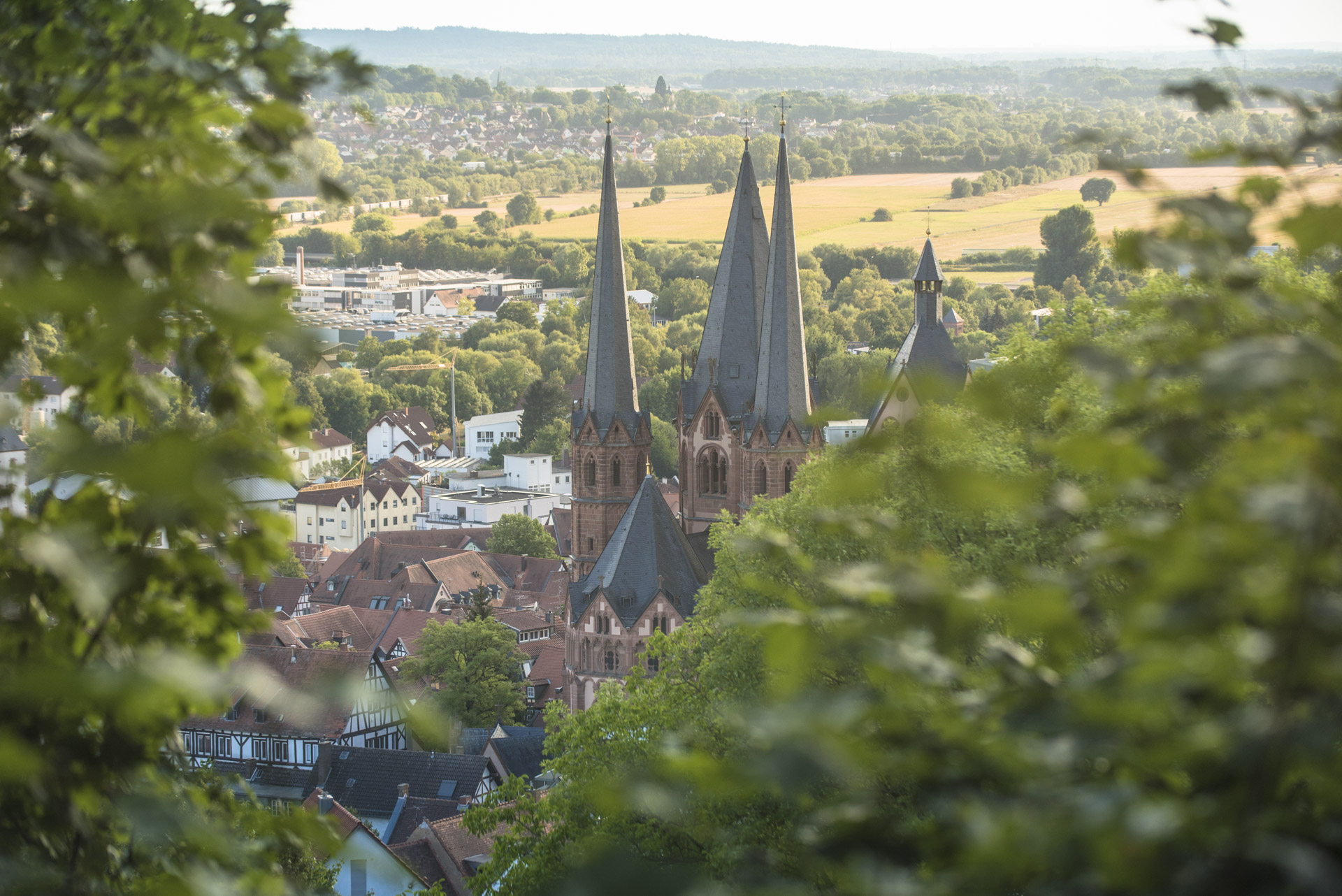 Wandern auf der Spessartspur Gelnhäuser Waldbalkon Runde Gelnhausen 